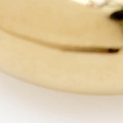 Shiny Crescent Earrings