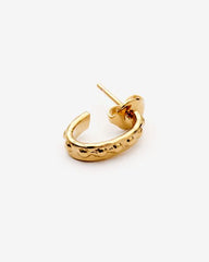 Stunning Earrings