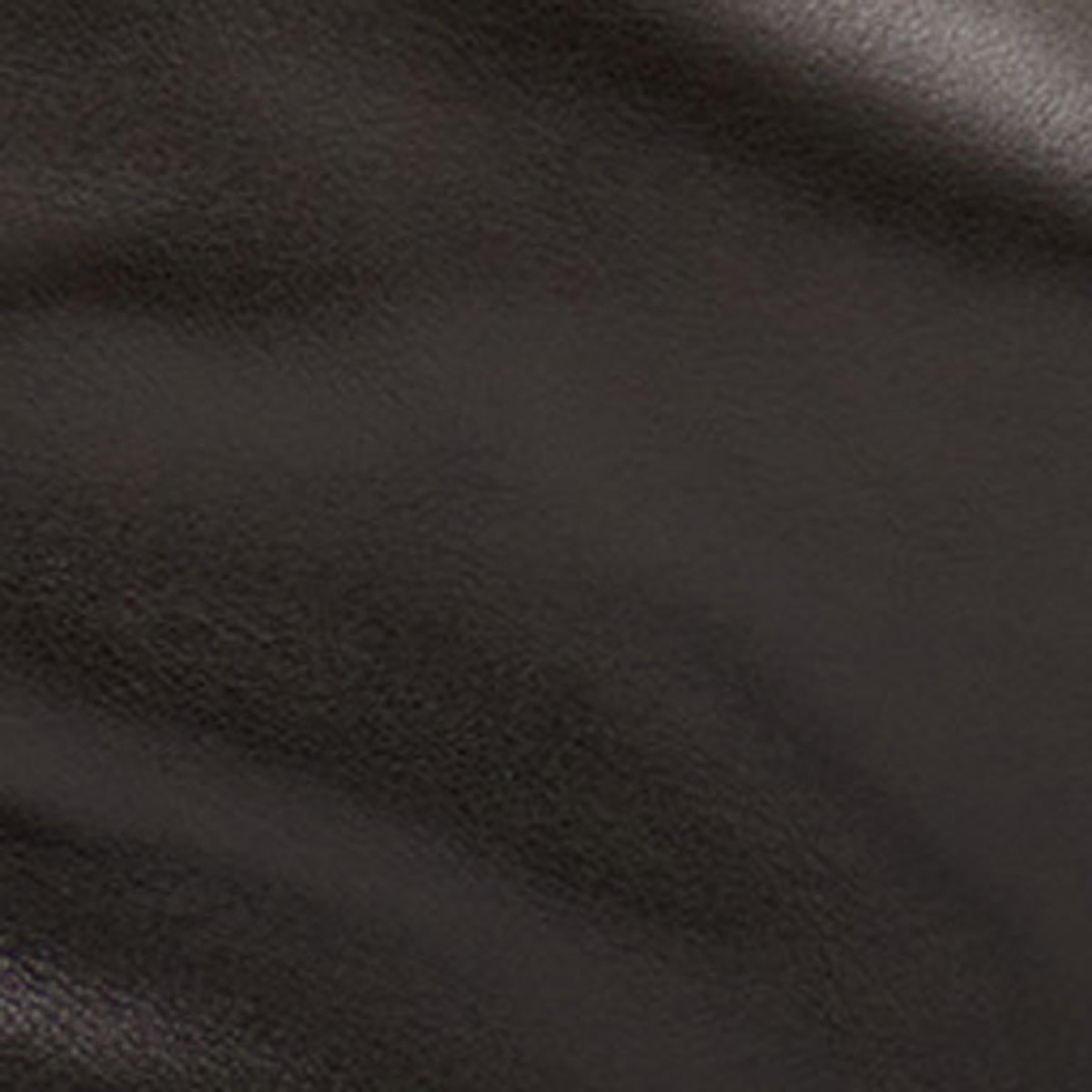 Leyden bag