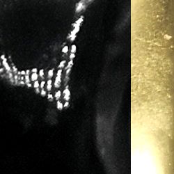 ELLEN EARRINGS