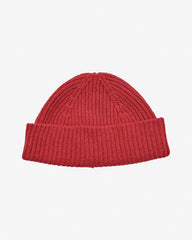 ZAMIA BEANIE