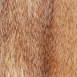AGLAE COAT